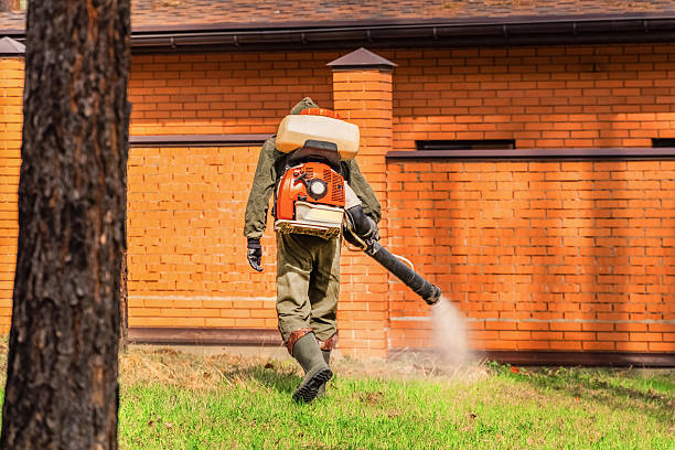 Trusted Rodent Control service in Concord, NH - Nex Pest Control